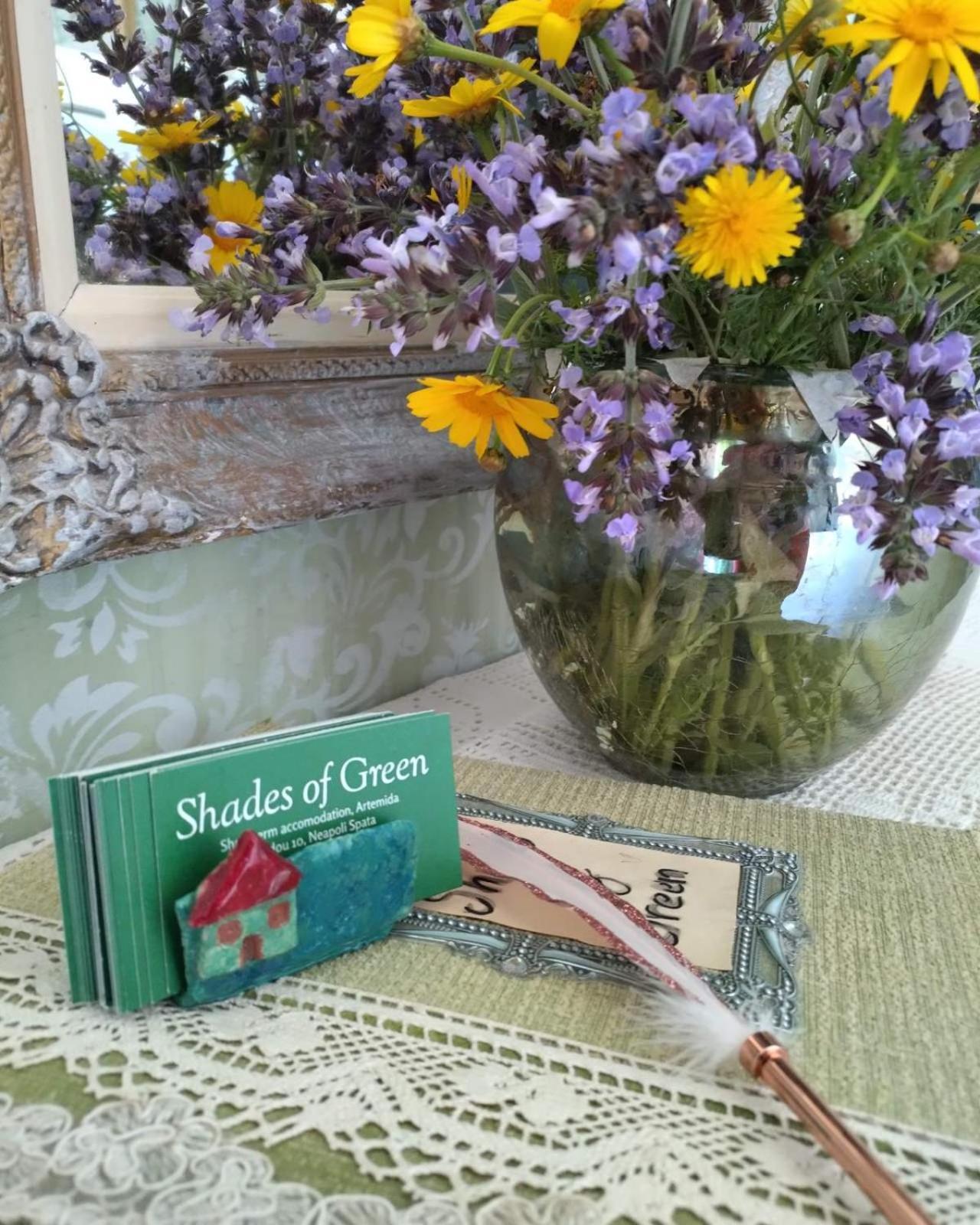 Shades Of Green 阿特米达 外观 照片